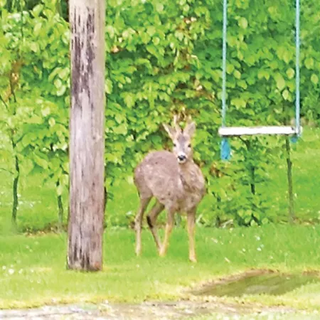 Vakantiehuis Birkely Ii